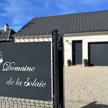 * Domaine De La Solaie * - Proche Bords De Loire Villa Saint-Denis-de l'Hotel Exterior photo